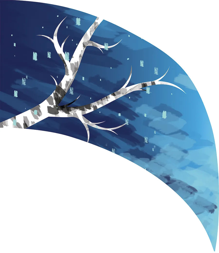 PP-0020-IG
