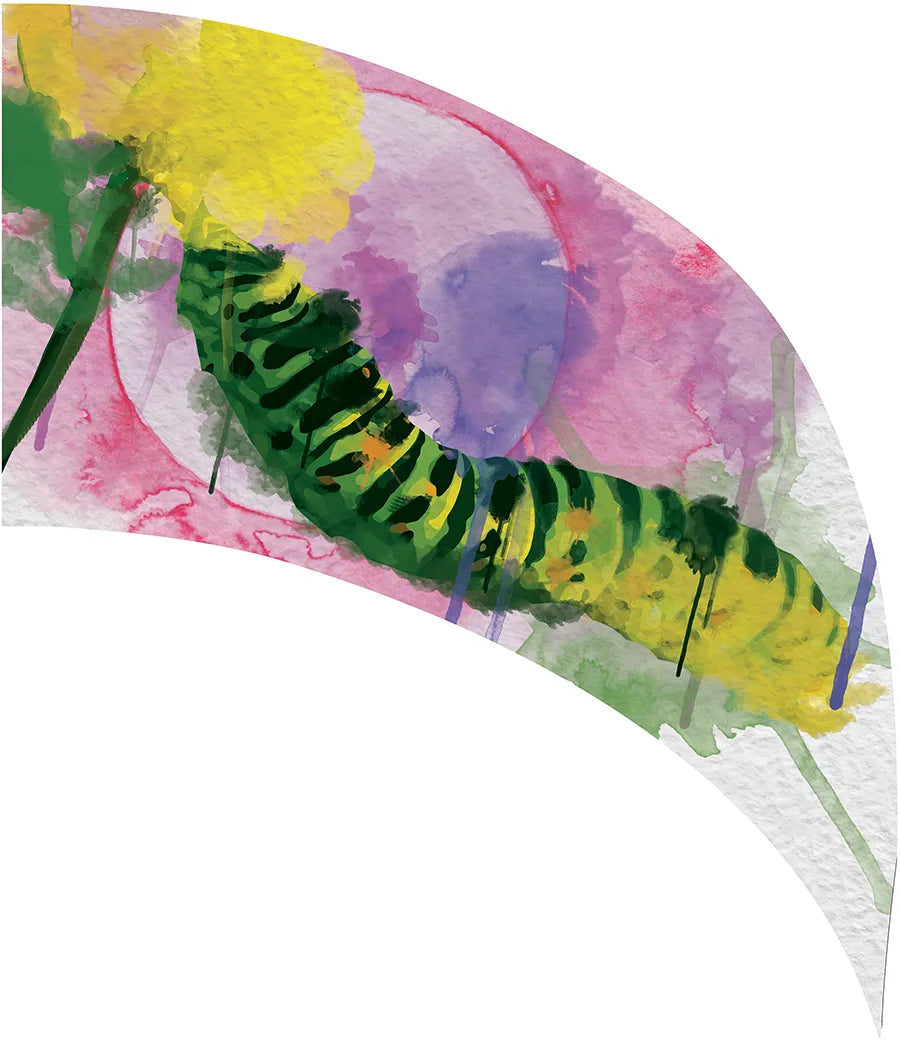 PP-0589-IG