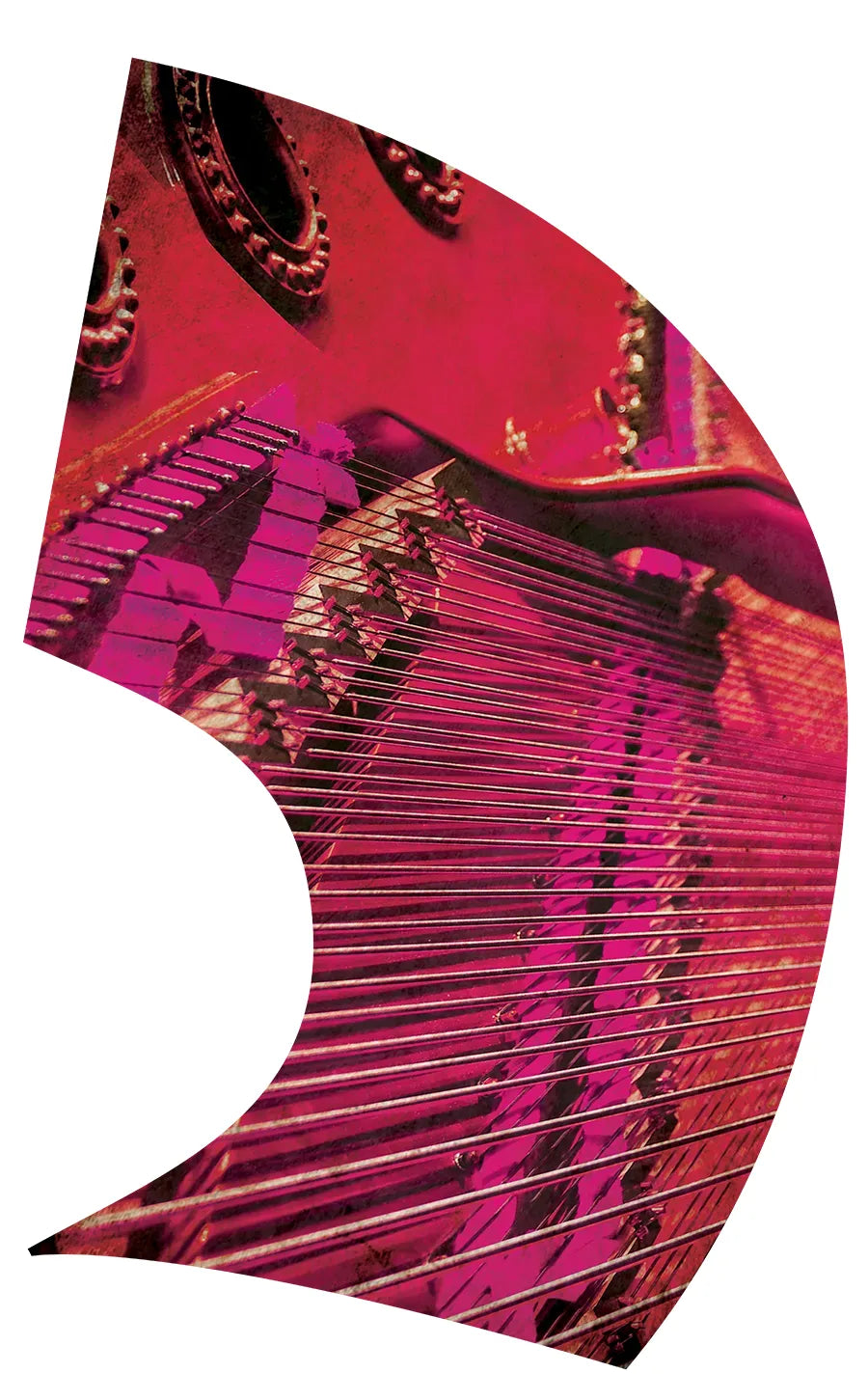 PP-0781-IG
