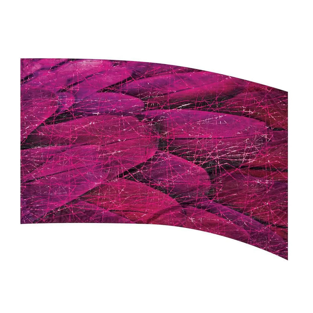 Genesis 9007