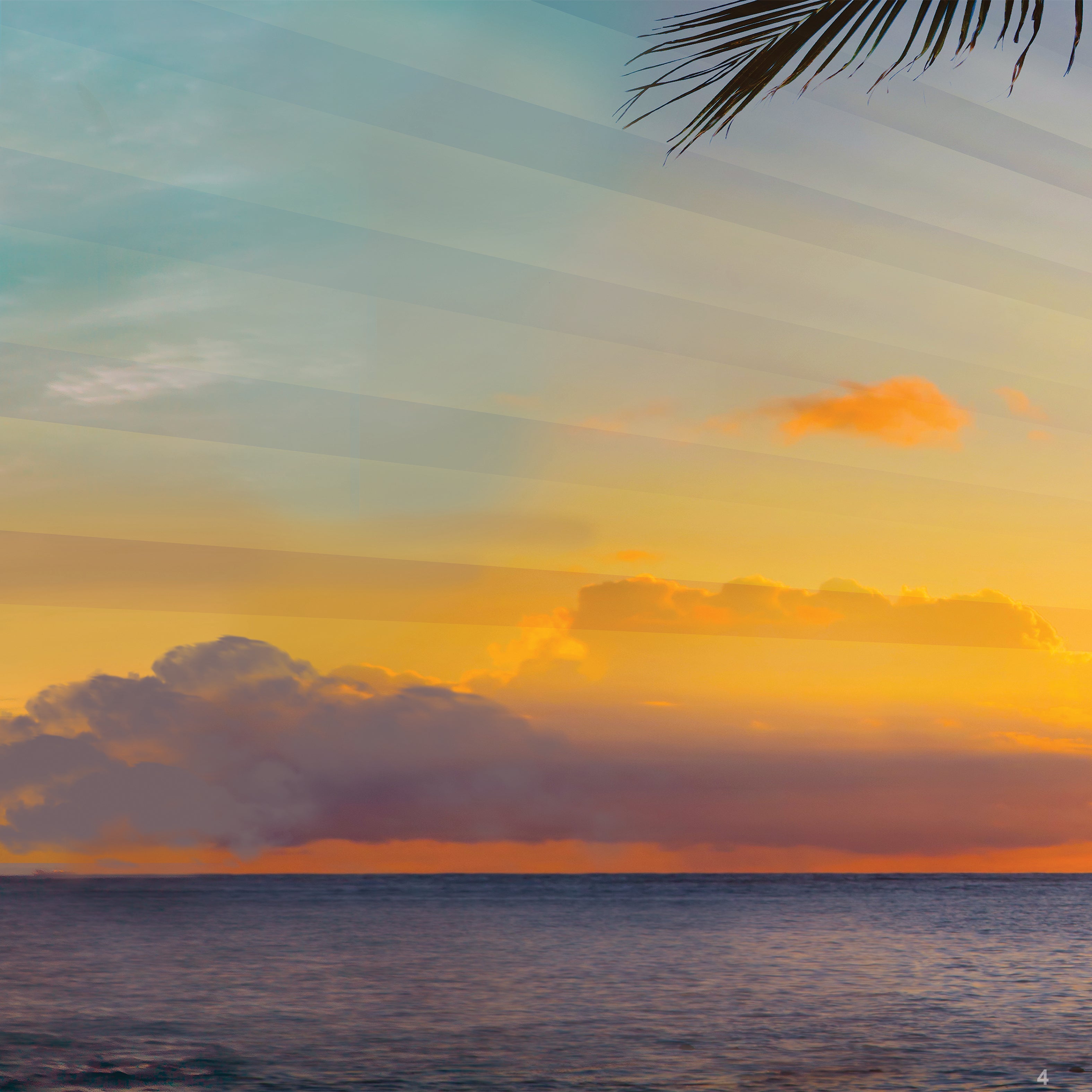 IHP-Hawaii-IG
