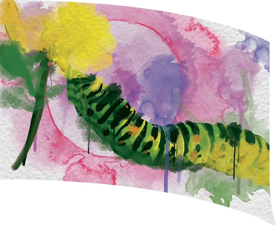 PP-0589-IG