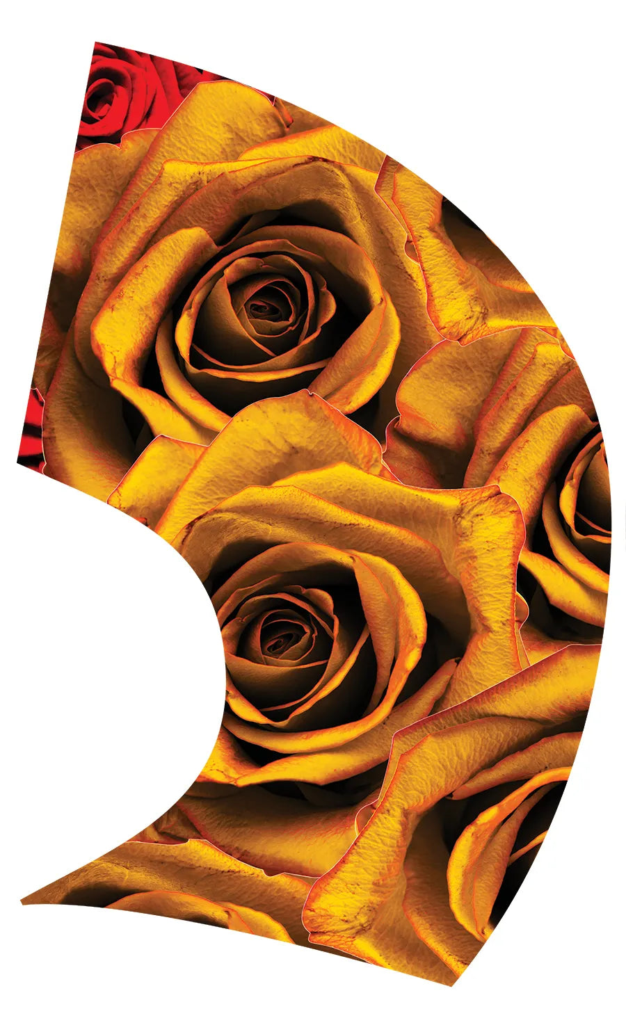 PP-0015-SJ