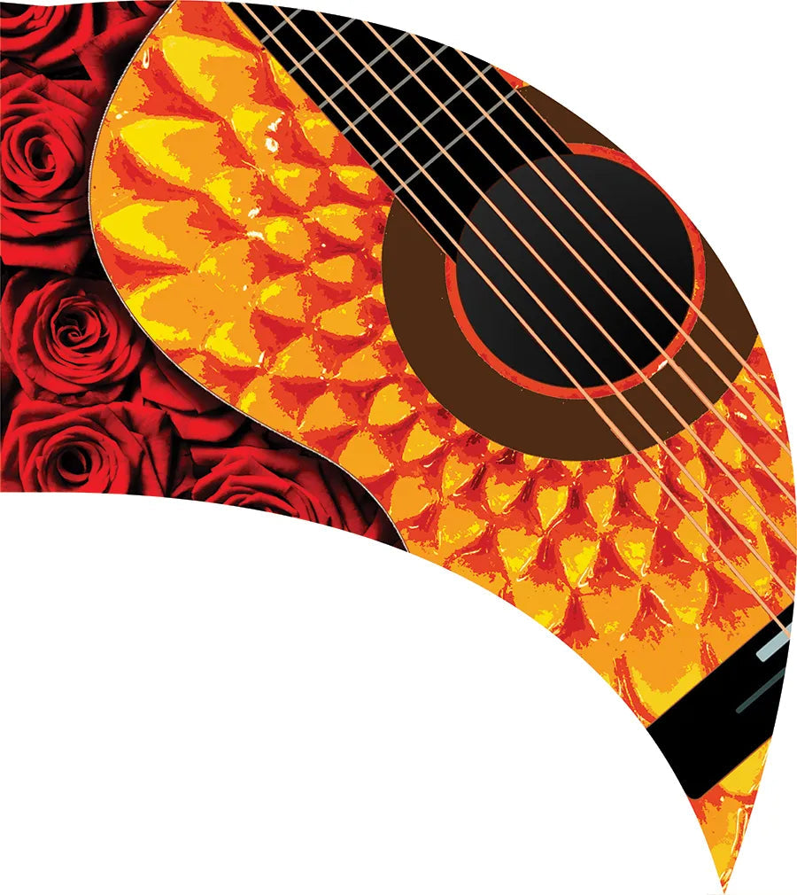 PP-0016-SJ