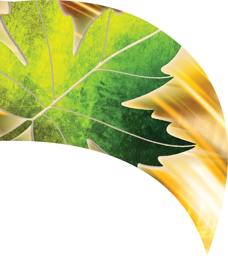 PP-0019-GD