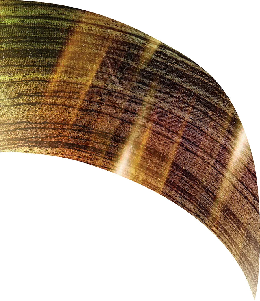 PP-0020-GD