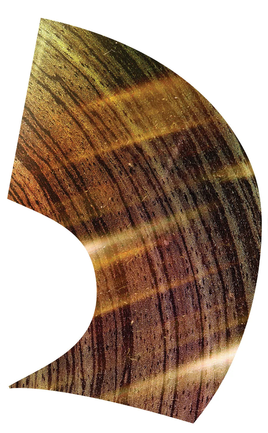 PP-0020-GD