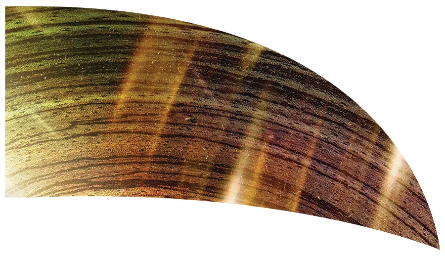 PP-0020-GD