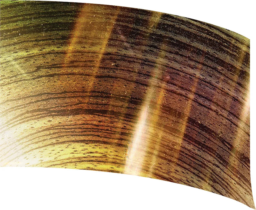PP-0020-GD