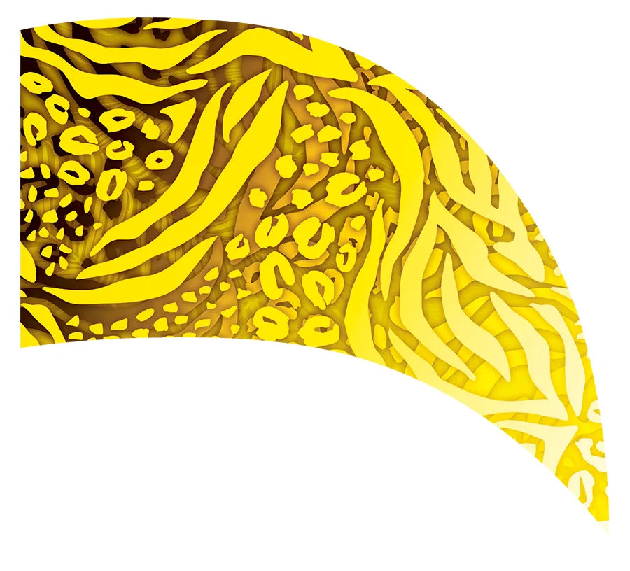 PP-0119-ES
