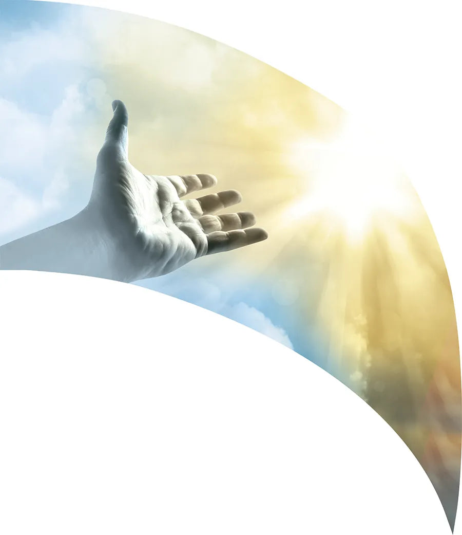 PP-1118-SP