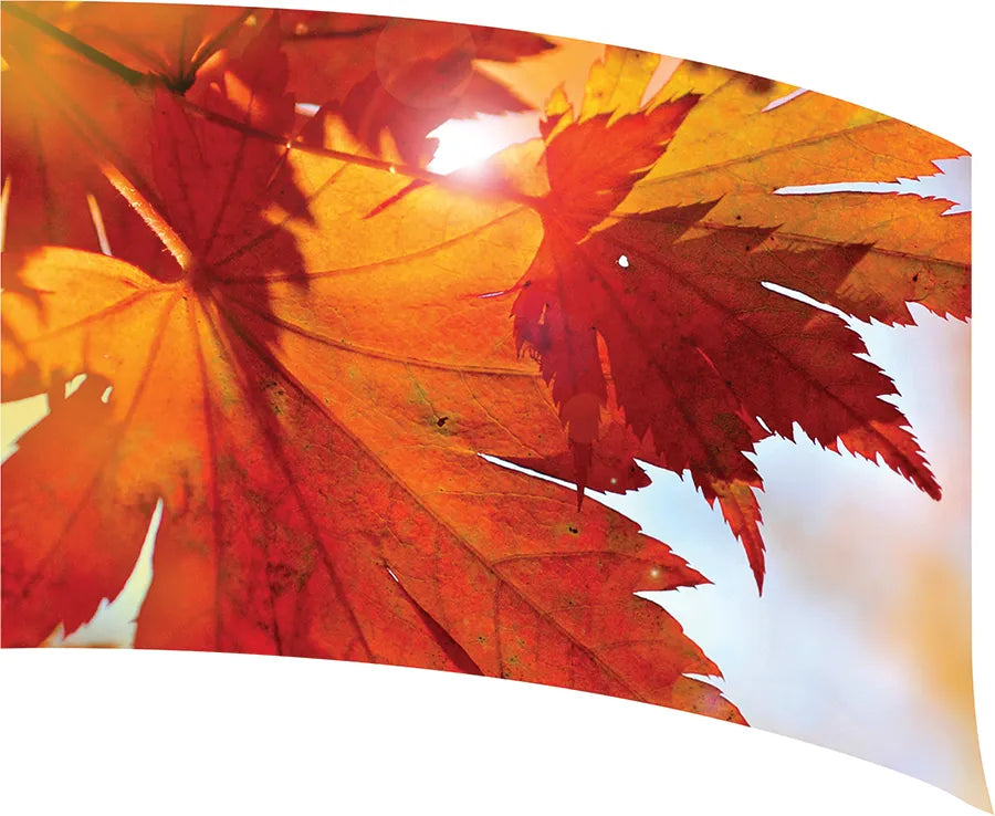 PP-1153-SP