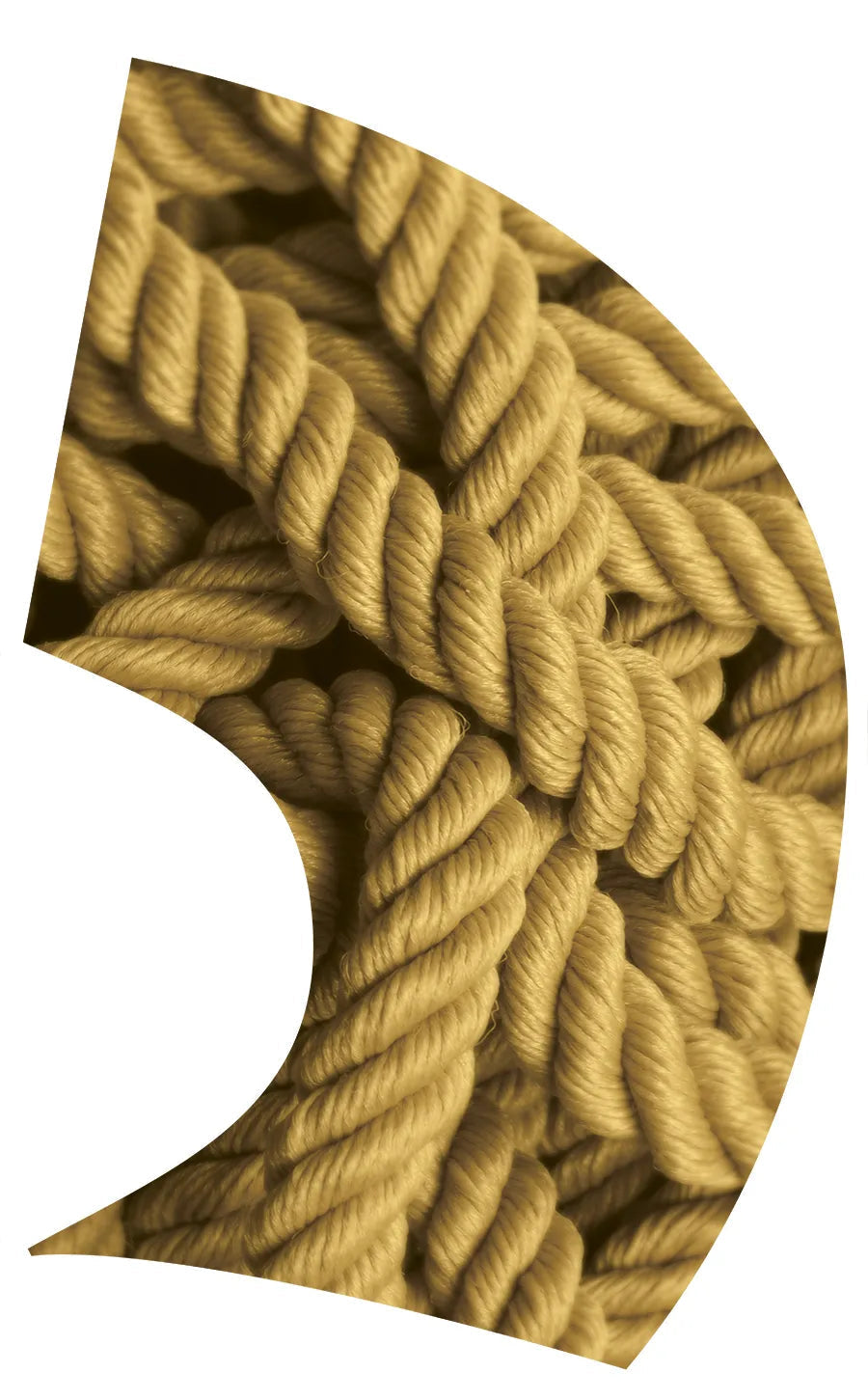 PP-1155-SP