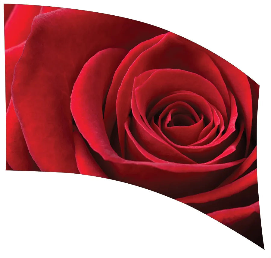PP-1160-SP