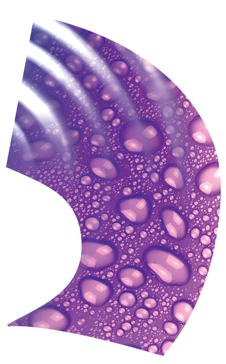 PP-1289-TW