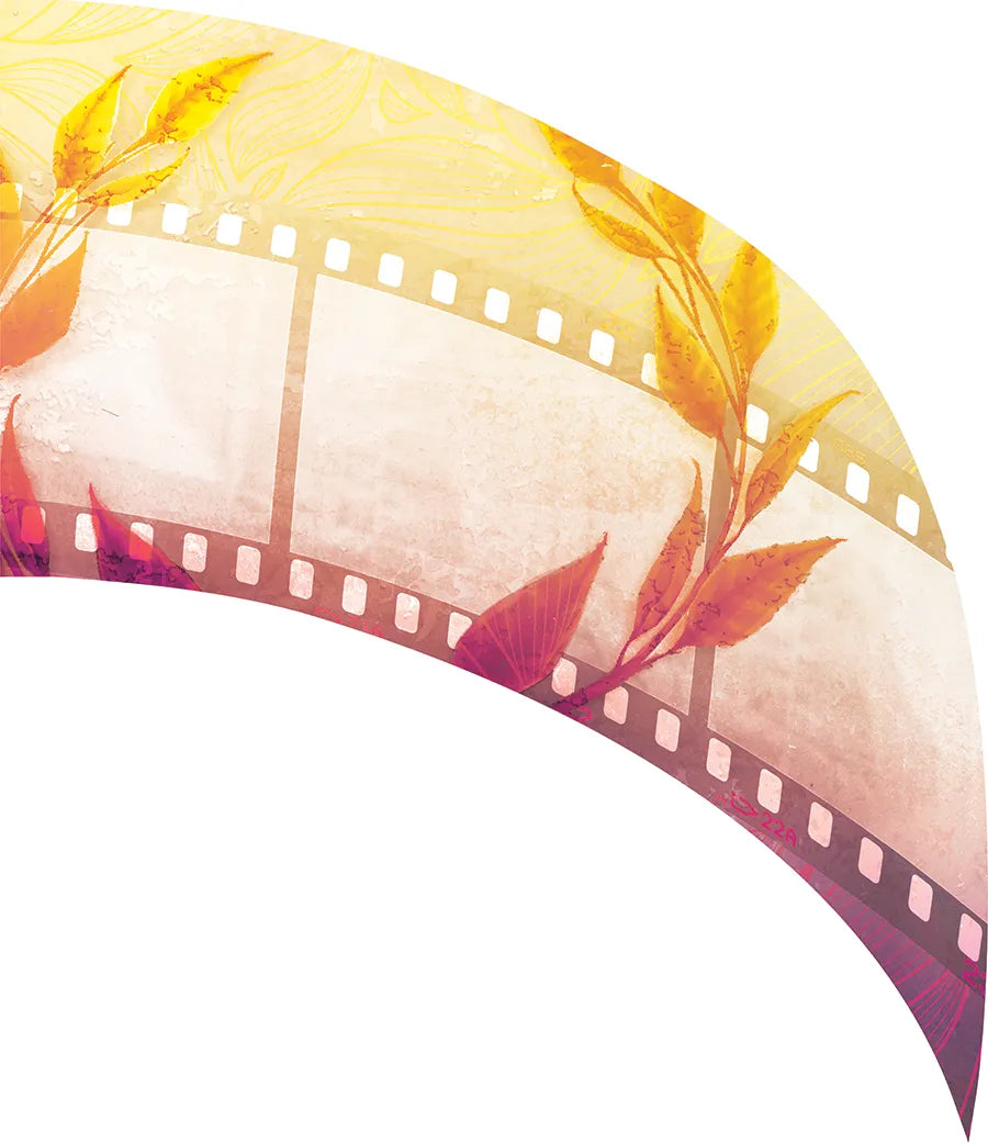 PP-2375-SS
