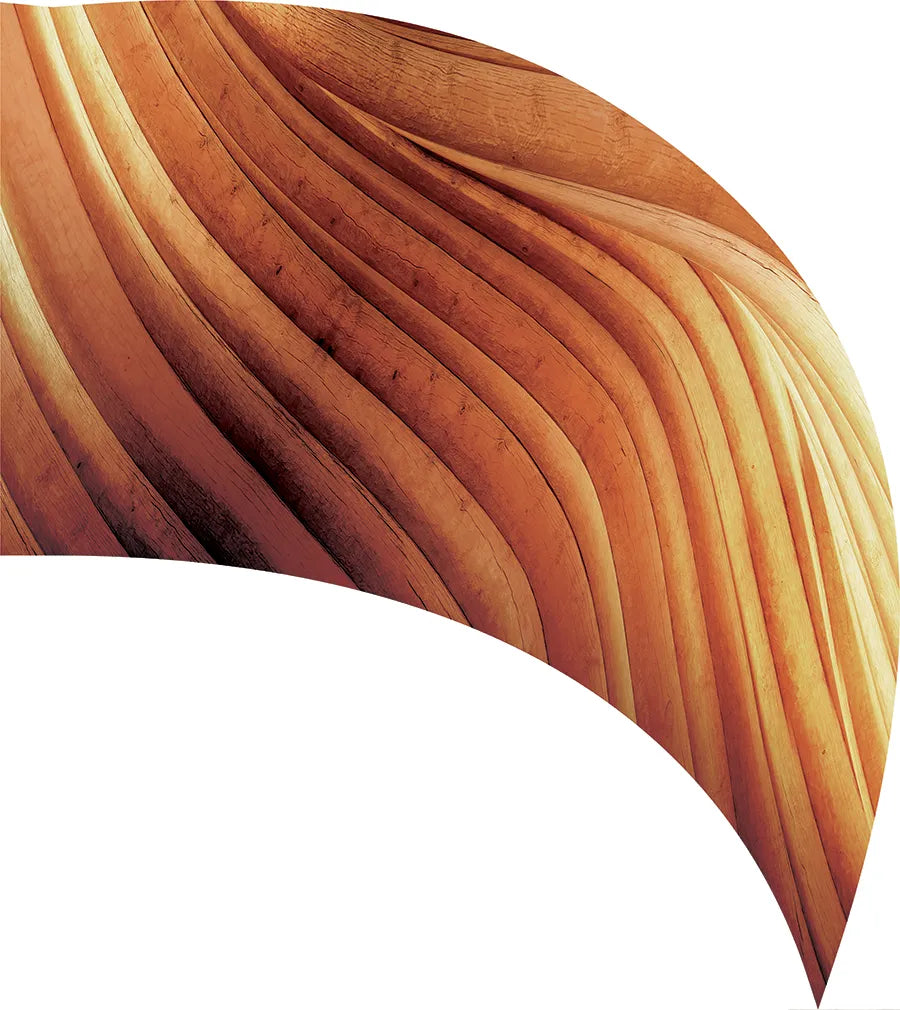 PP-2437-SS