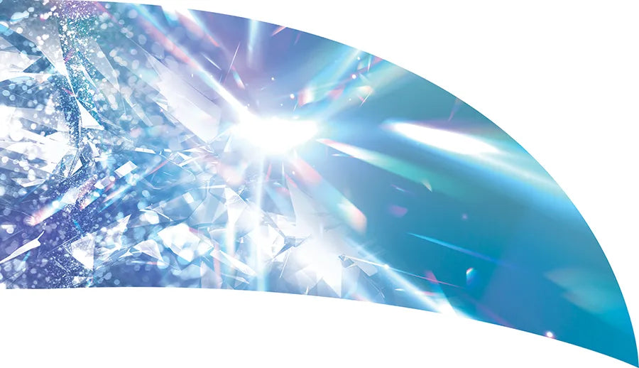 PP-2521-SS