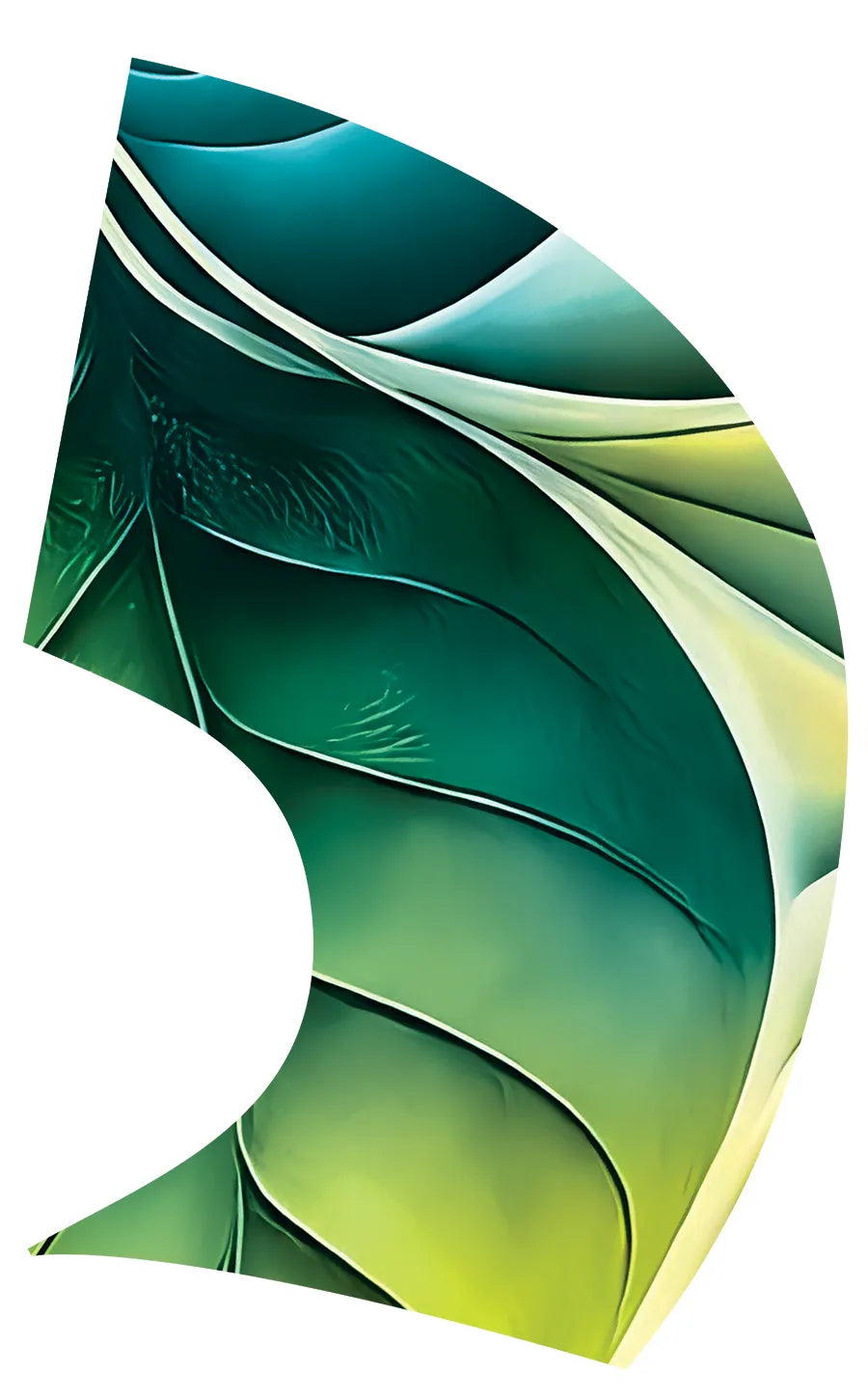 PP-2530-SS