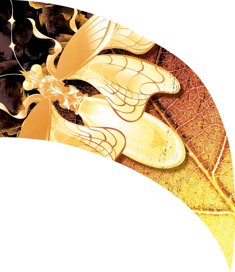 PP-2561-SS