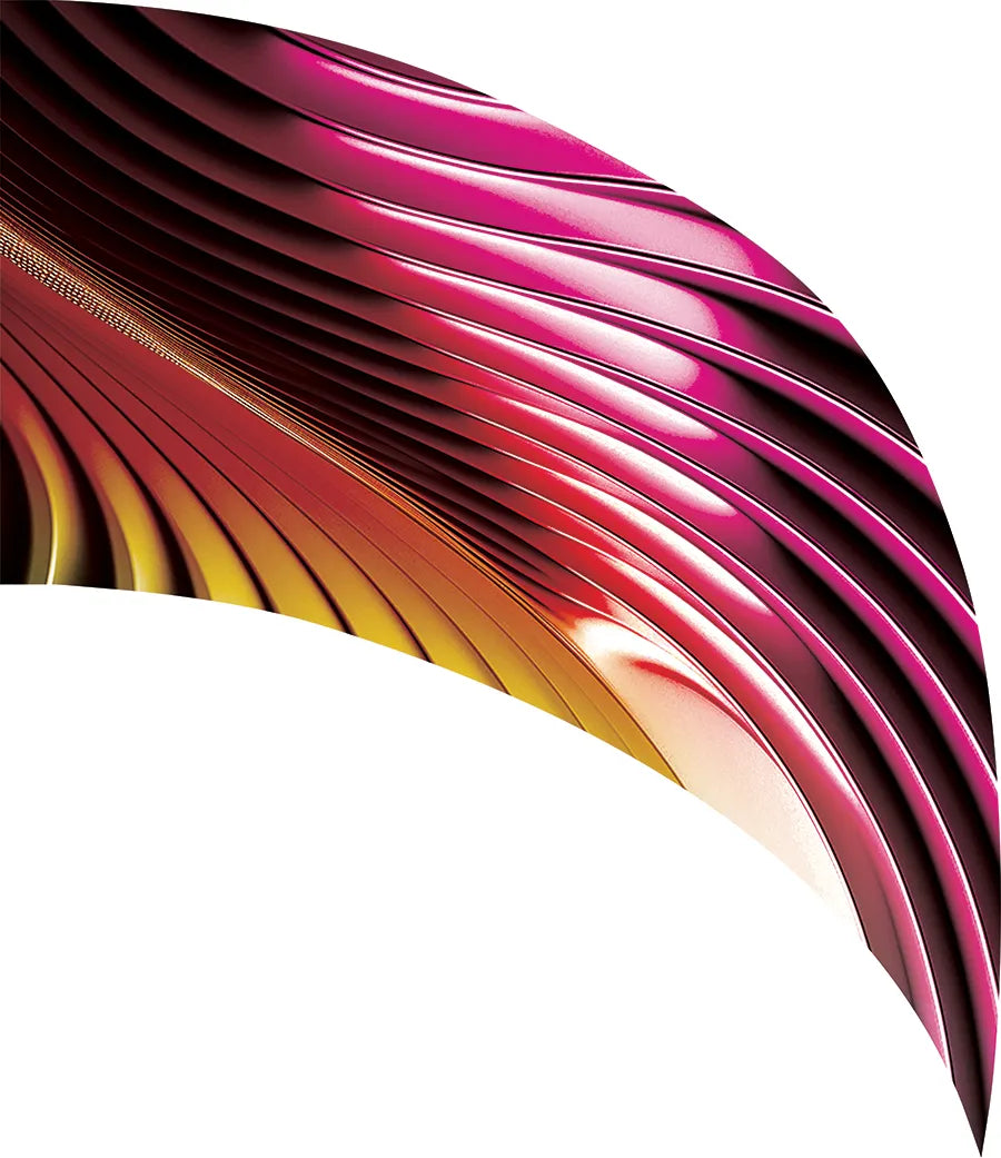 PP-2567-SS