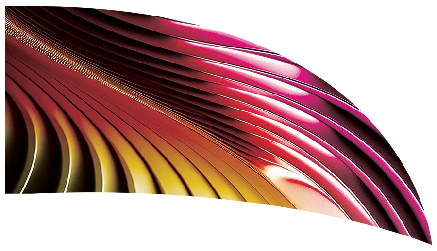 PP-2567-SS