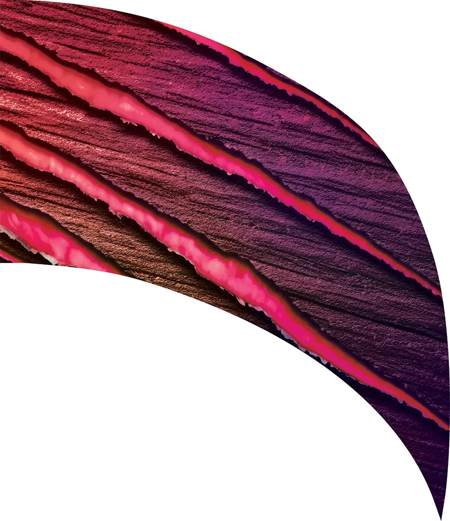 PP-2571-SS