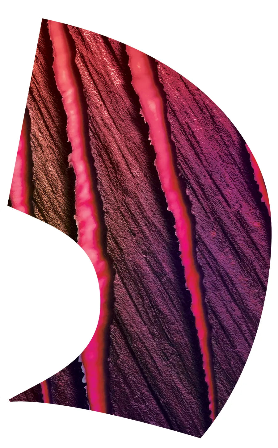 PP-2571-SS