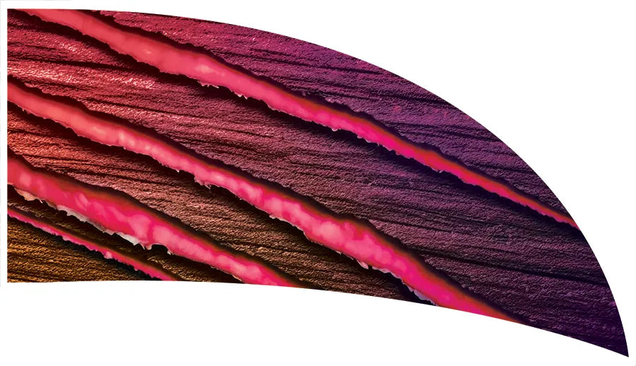 PP-2571-SS