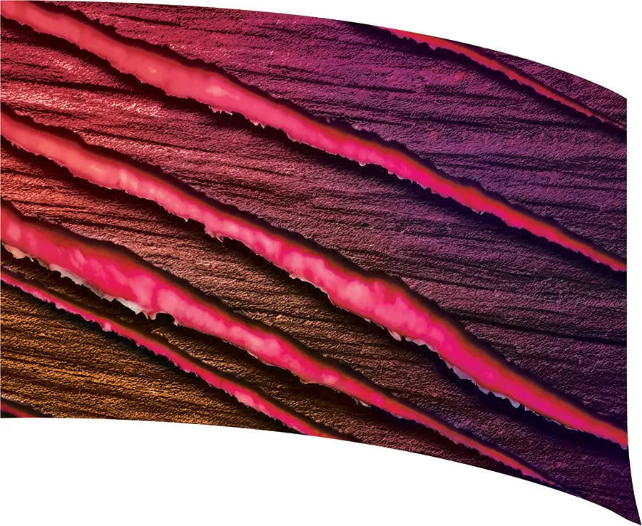 PP-2571-SS