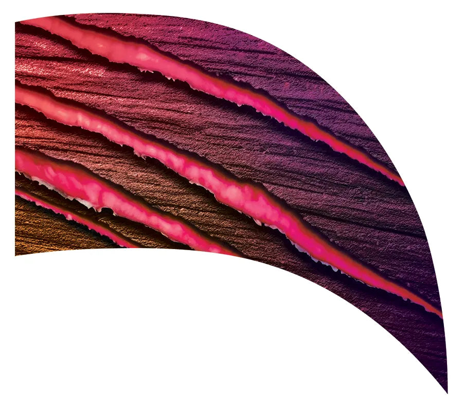 PP-2571-SS