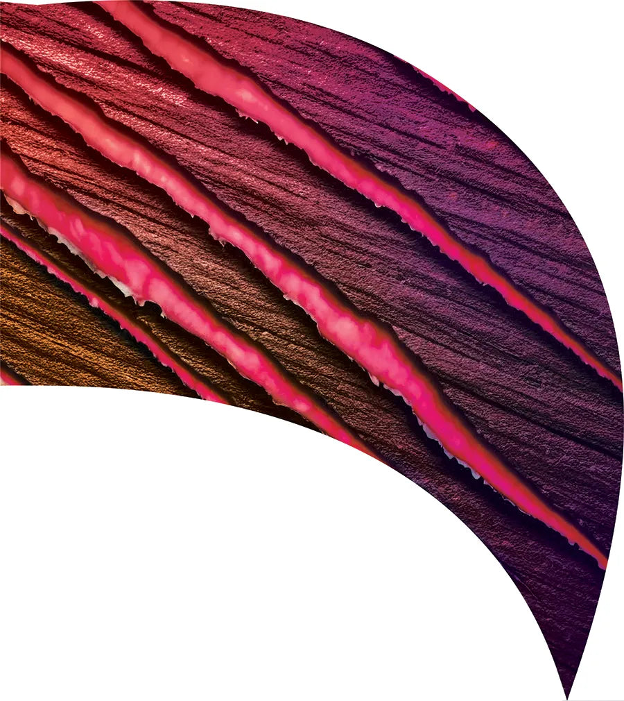 PP-2571-SS