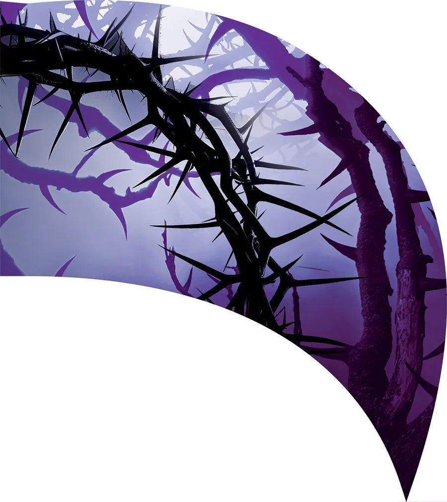 PP-2587-SS