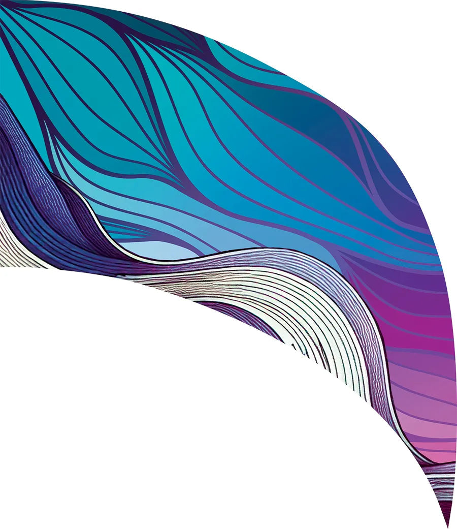 PP-2591-SS