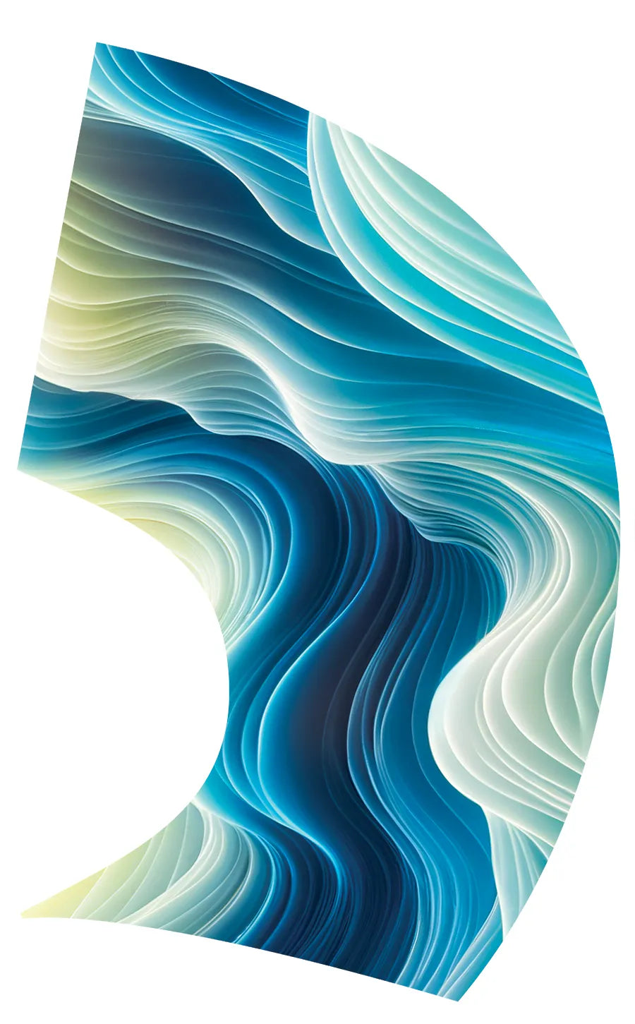 PP-2595-SS