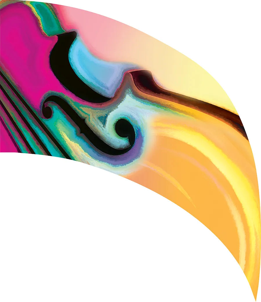 PP-2599-SS
