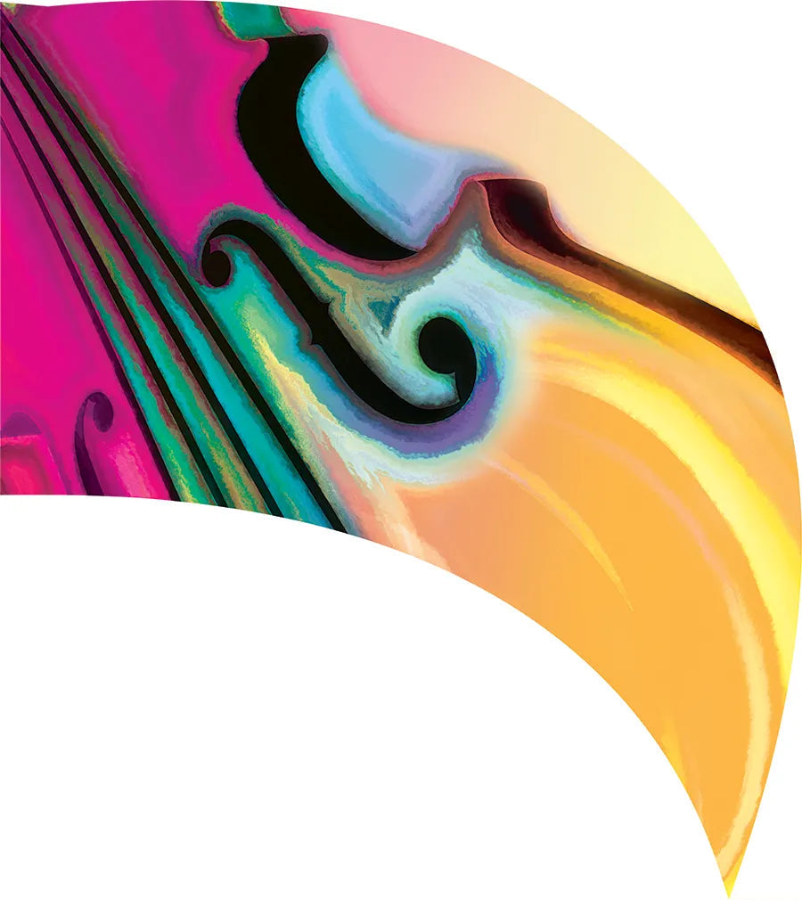 PP-2599-SS