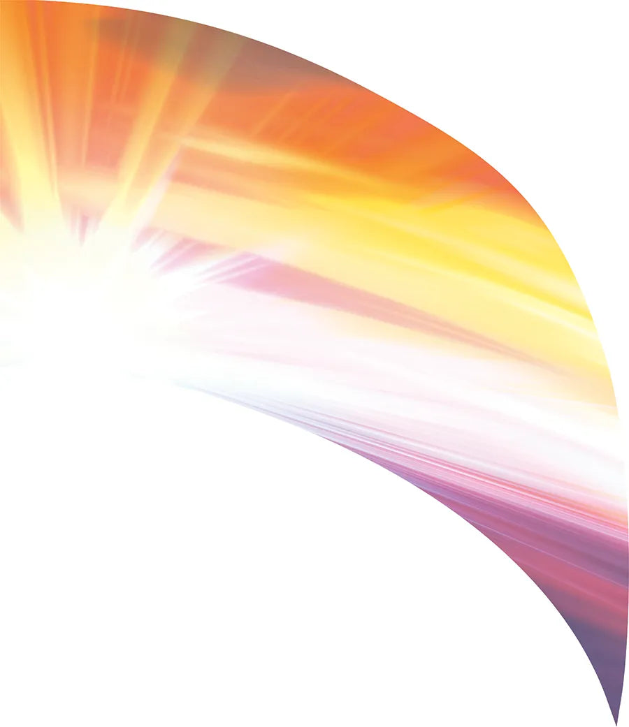 PP-2606-SS