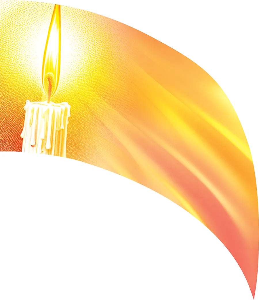 PP-2609-SS