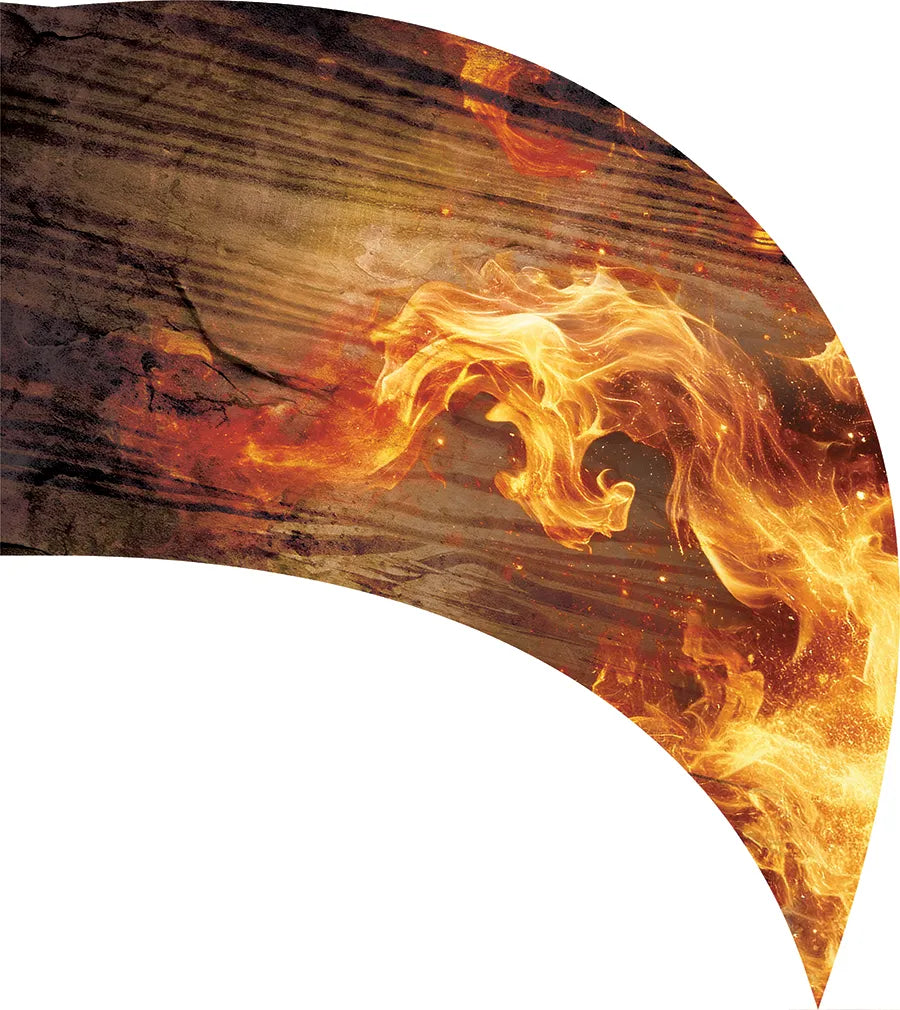 PP-2634-SS