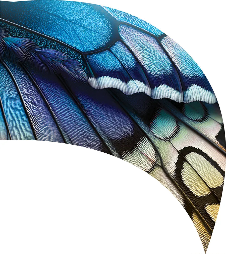 PP-2643-SS