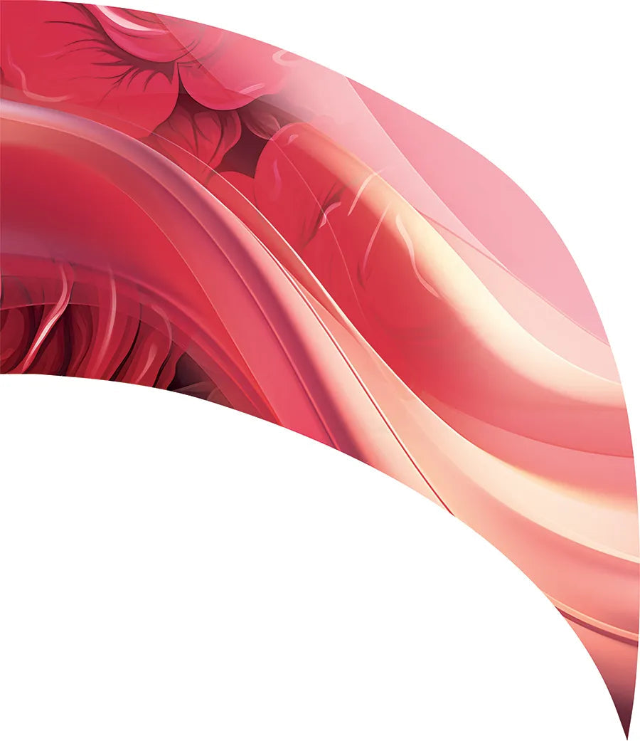 PP-2656-SS