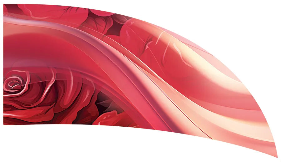 PP-2656-SS