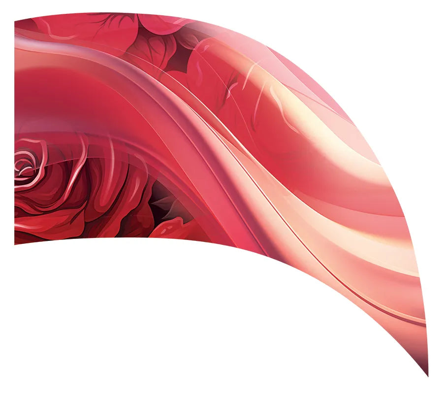 PP-2656-SS