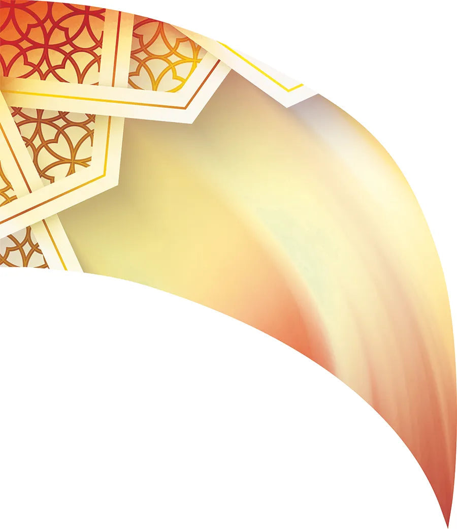 PP-2667-SS
