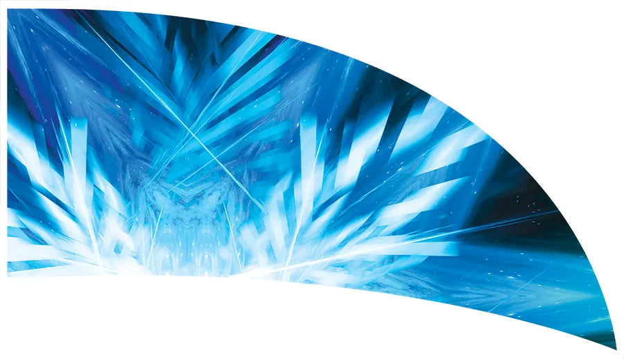 PP-2736-SS