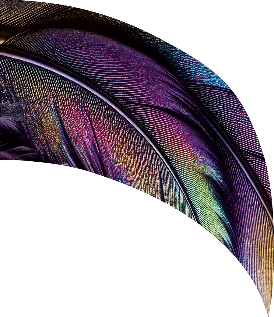 PP-2747-SS