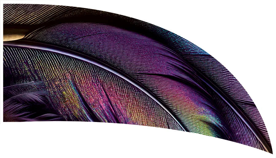 PP-2747-SS