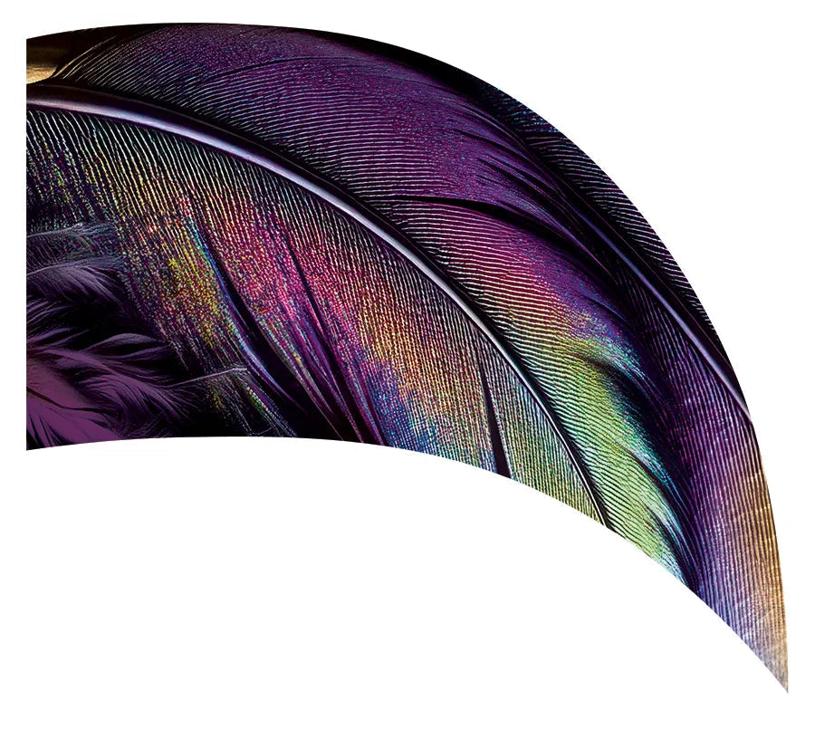 PP-2747-SS