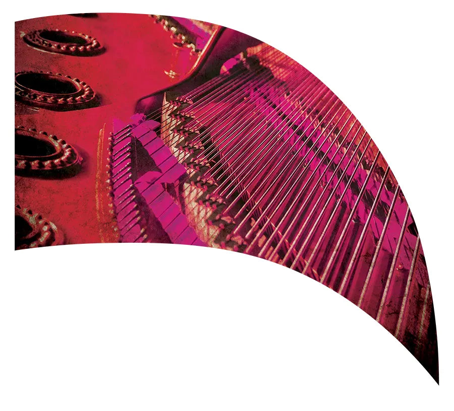 PP-0781-IG